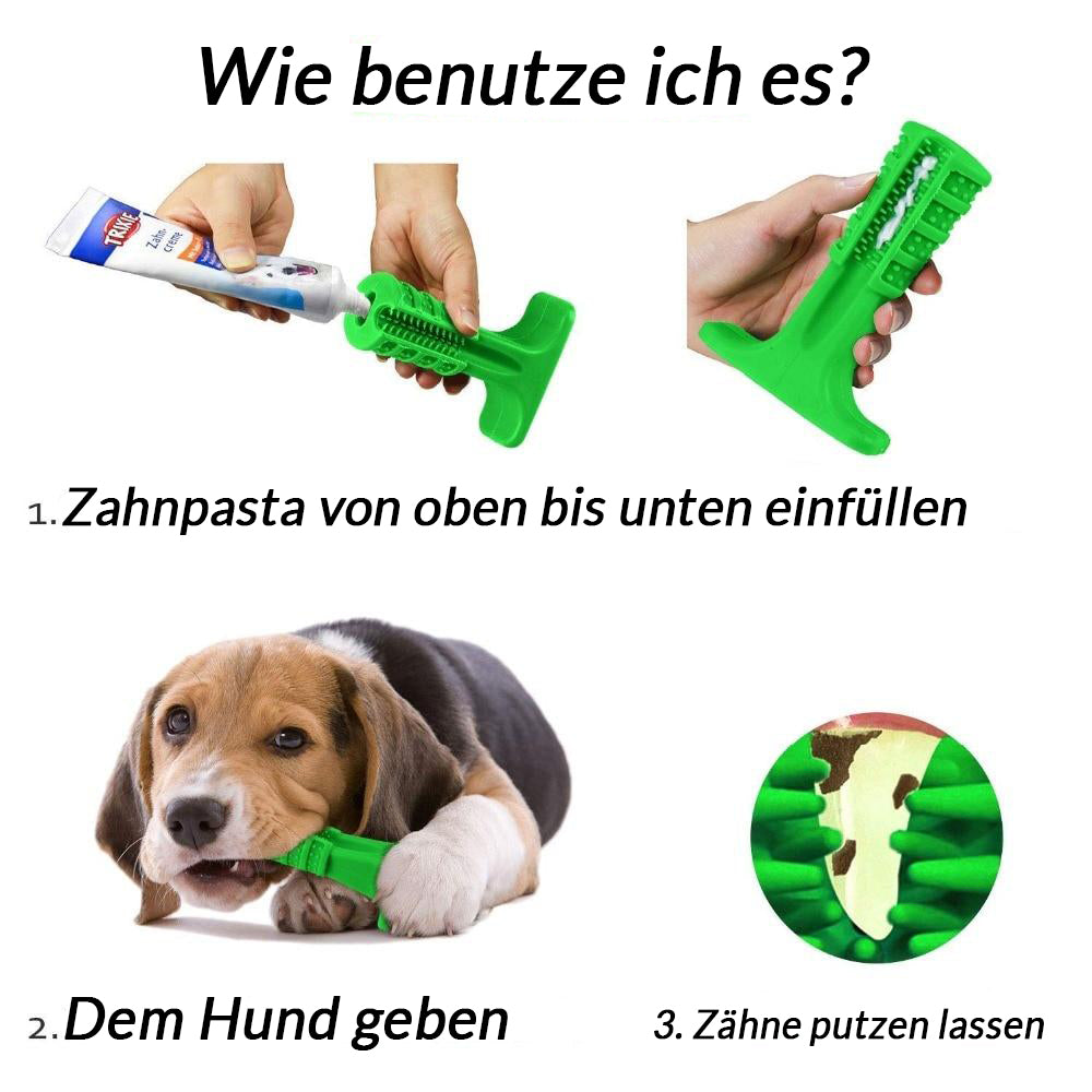 Kau-Zahnbürste für saubere Zähne | PETZEE®