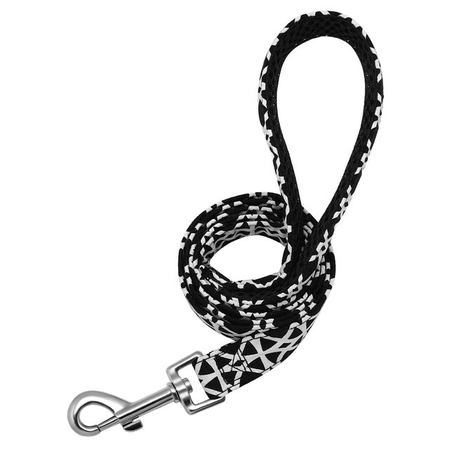 PETZEE®| Leine für personalisiertes Hundehalsband 120cm